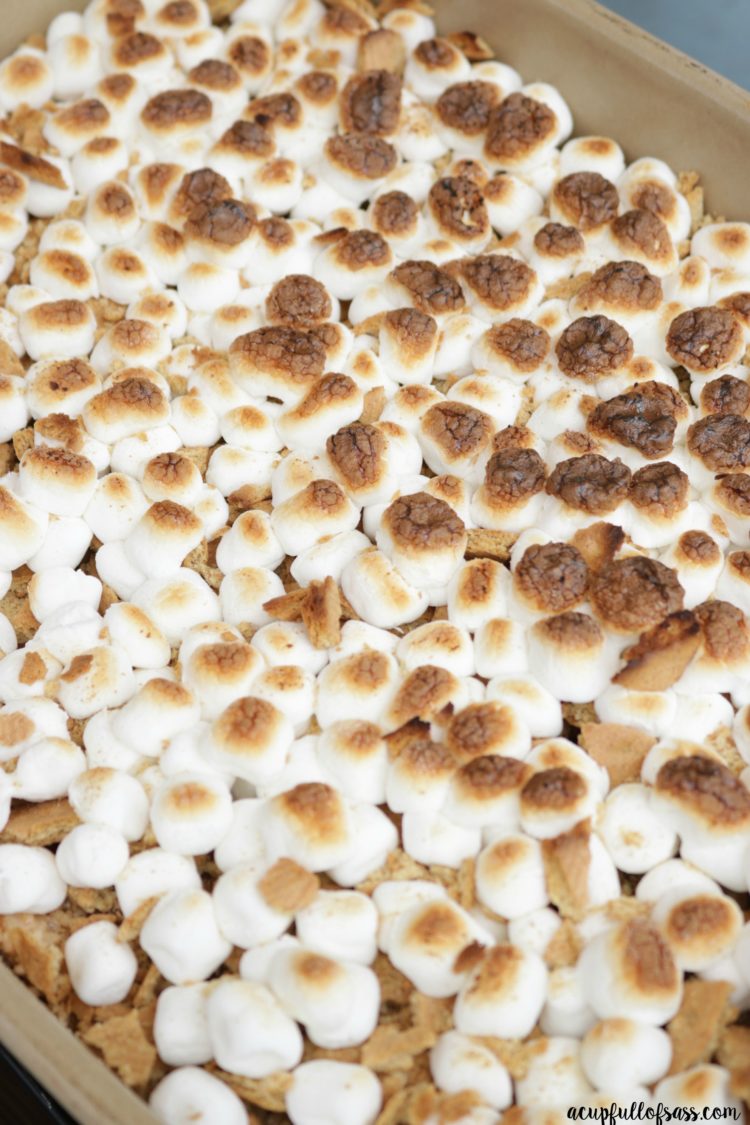 S'mores Rice Krispies Treats 