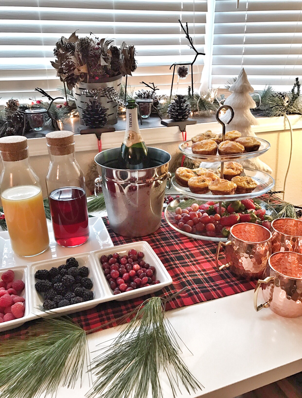 Host a Holiday Party with a Christmas Cranberry Mimosas 