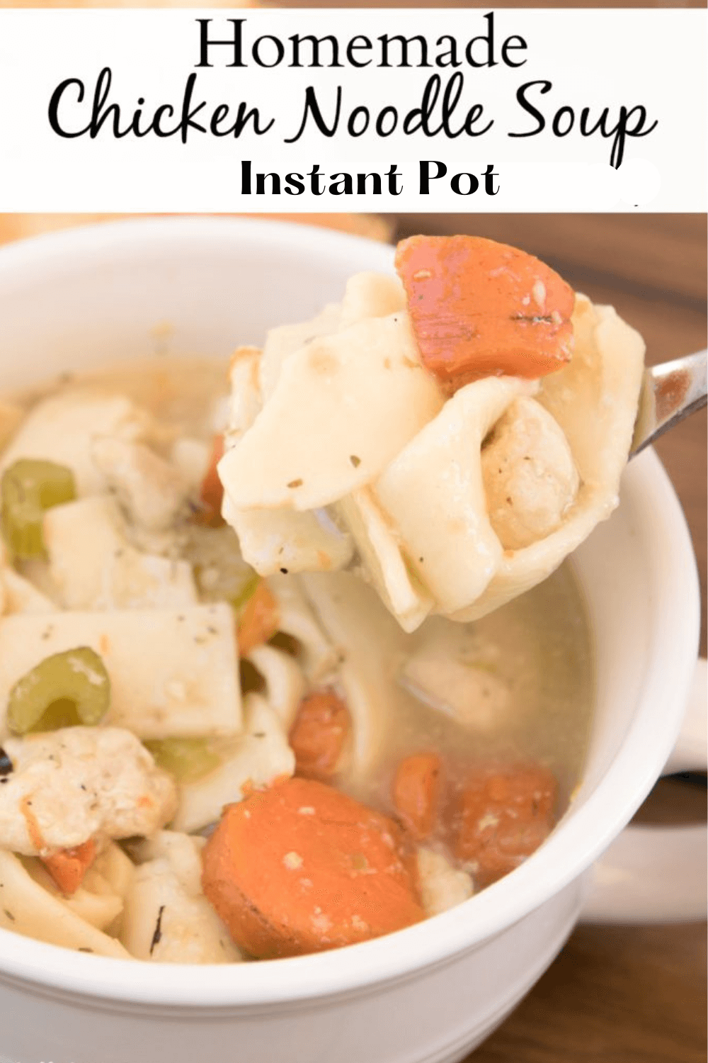 Chicken Noodle Soup in Instant Pot