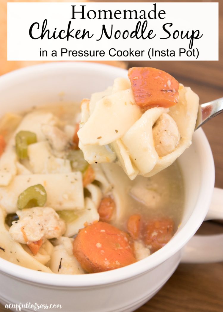 99 Instant Pot Recipes & Instapot Meals (Pressure Cooker)