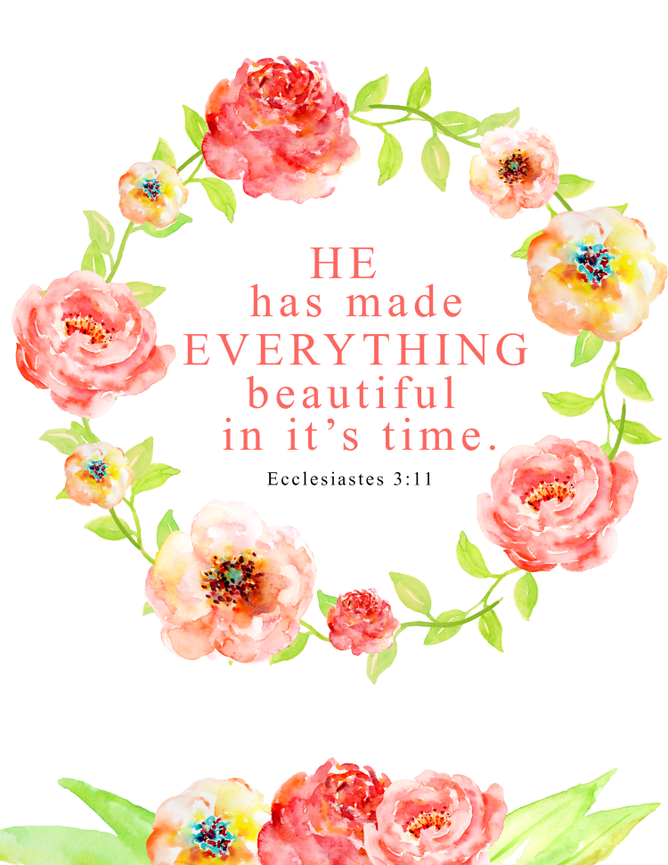 bible-verses-about-flowers-kjv-12080-best-images-about-flowers