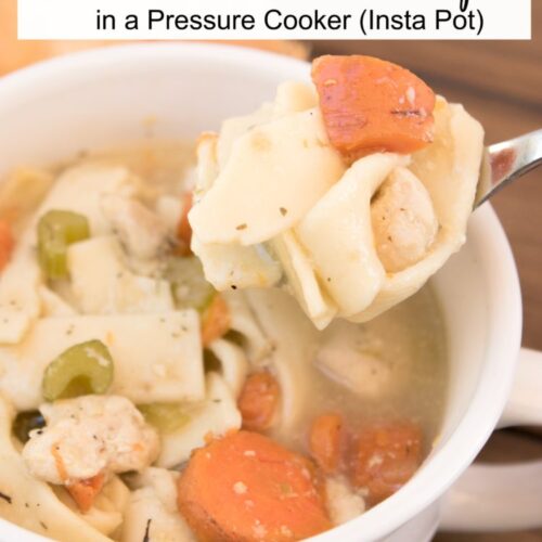 Homemade Instant Chicken Noodle Soup (Guest Post) - Overtime Cook